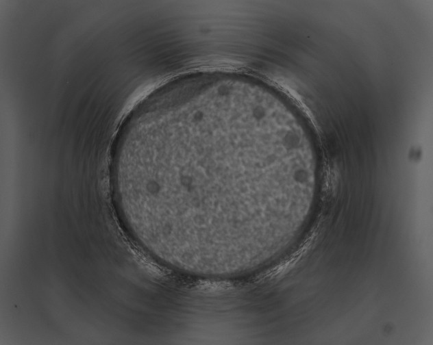 X0000095510978200801041156