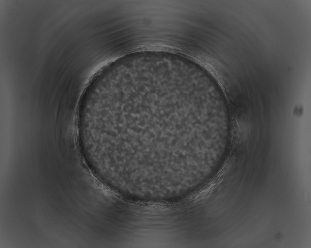 X0000095510979200801041156