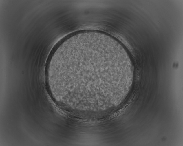 X0000095510980200801041156