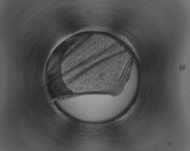 X0000095510981200801041156