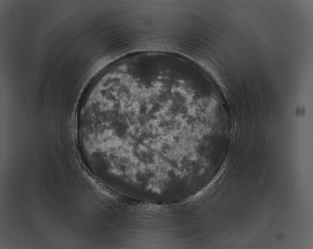 X0000095510982200801041156