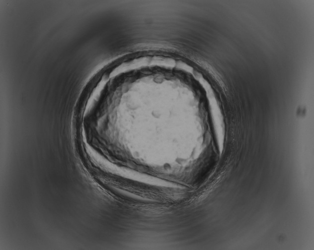 X0000095510983200801041156