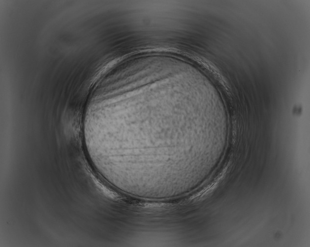 X0000095510985200801041156