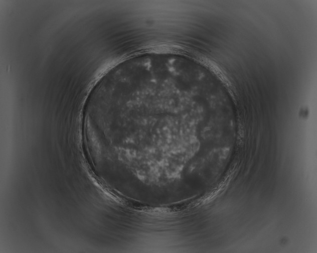 X0000095510986200801041156
