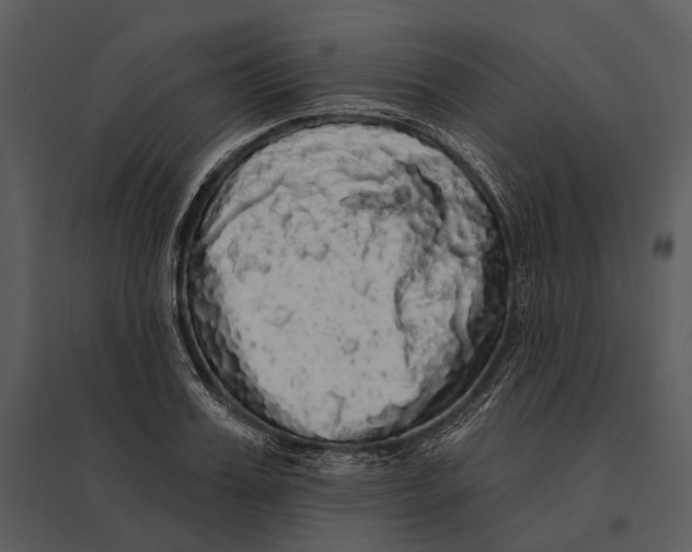 X0000095510987200801041156