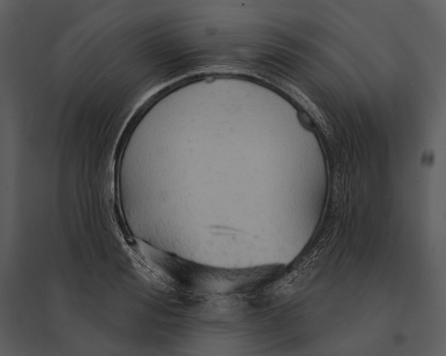 X0000095510988200801041156