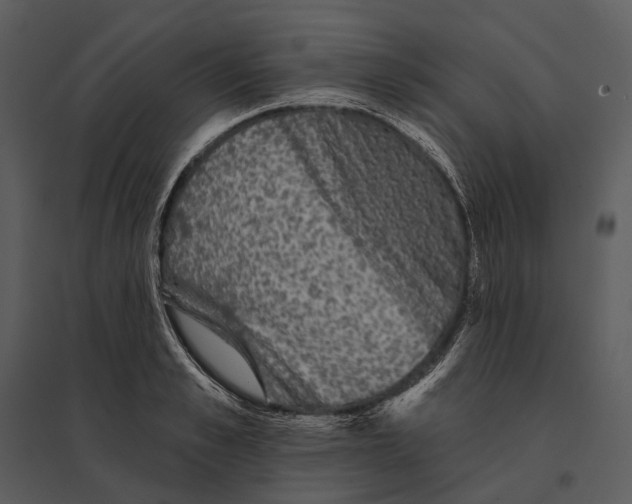 X0000095510989200801041156
