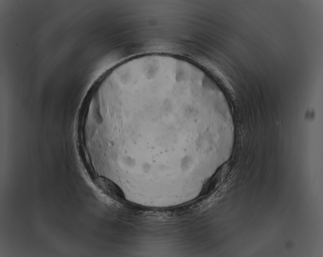 X0000095510991200801041156