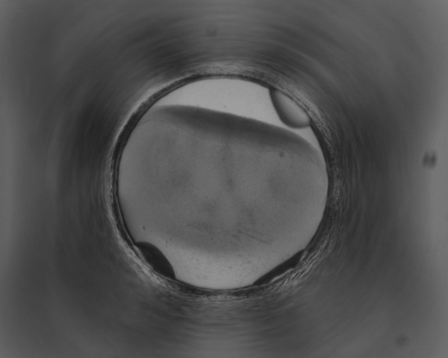 X0000095510992200801041156
