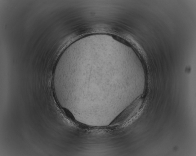 X0000095510993200801041156