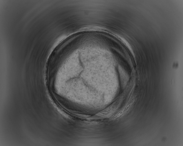 X0000095510997200801041156
