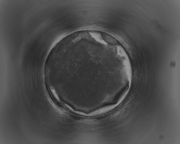 X0000095510998200801041156