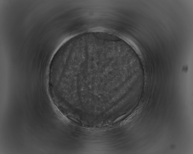 X0000095511000200801041156
