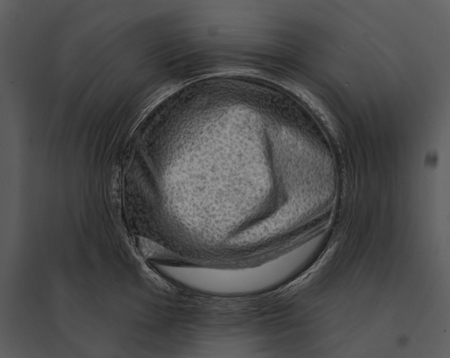 X0000095511001200801041156