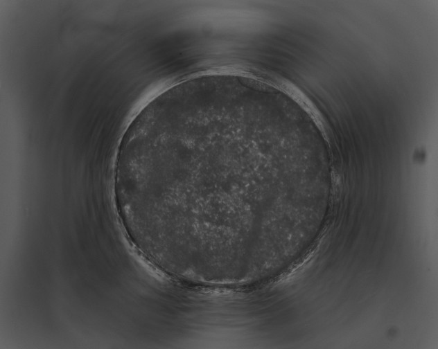 X0000095511002200801041156