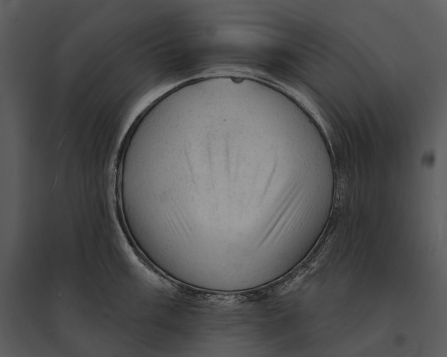 X0000095511003200801041156