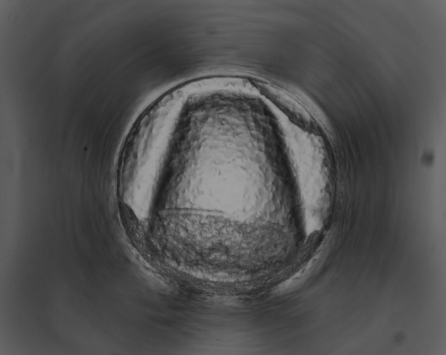 X0000095511004200801041156