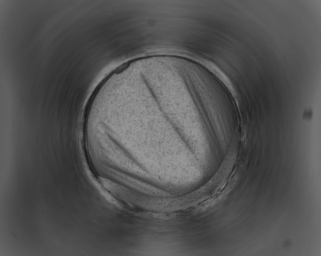 X0000095511005200801041156