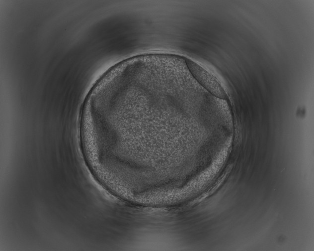 X0000095511006200801041156