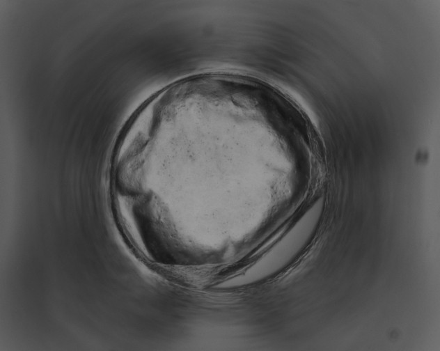 X0000095511007200801041156