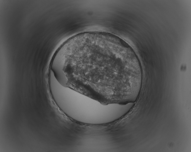 X0000095511008200801041156