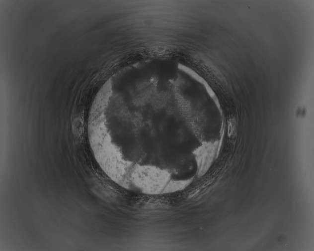 X0000095511011200801041155
