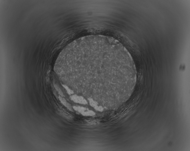X0000095511012200801041155