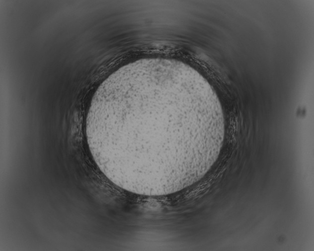 X0000095511013200801041155