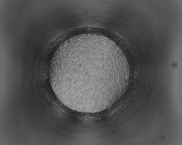 X0000095511014200801041155