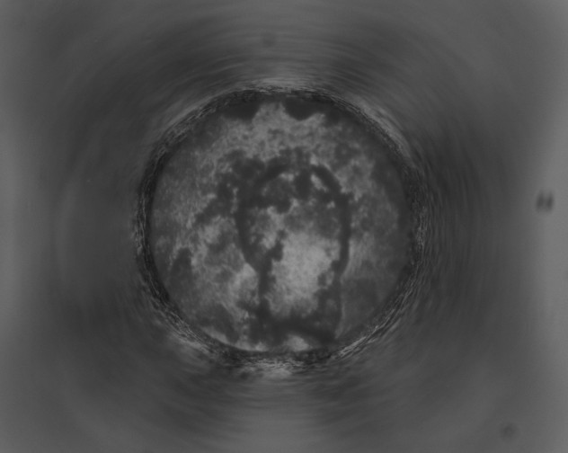 X0000095511015200801041155