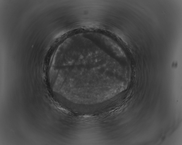 X0000095511016200801041155