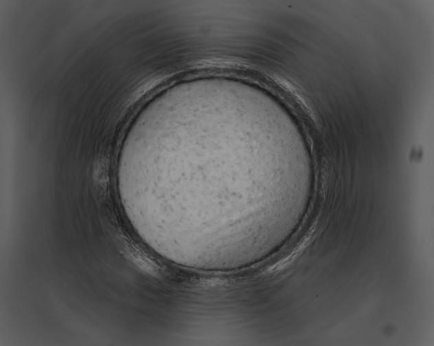 X0000095511017200801041155
