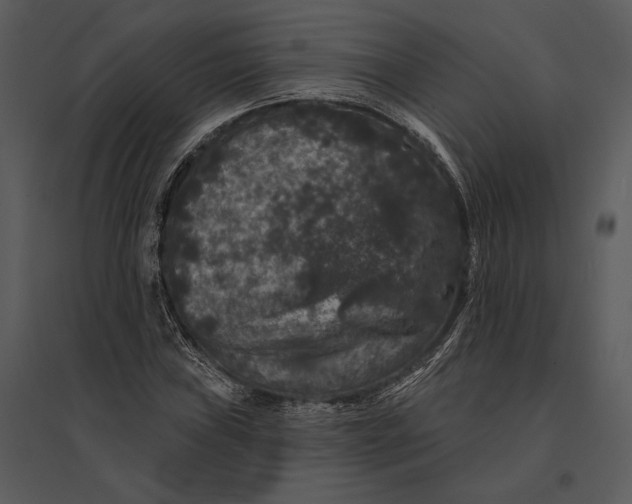 X0000095511019200801041155
