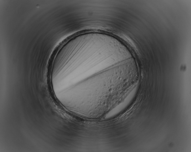 X0000095511020200801041155