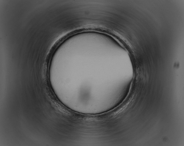 X0000095511021200801041155