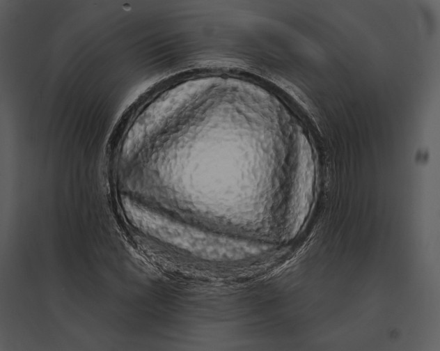 X0000095511022200801041155