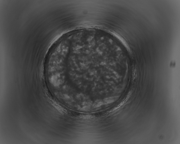 X0000095511023200801041155