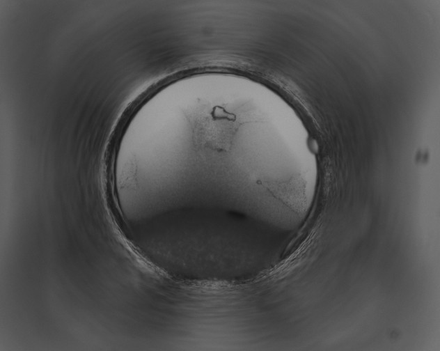 X0000095511024200801041155