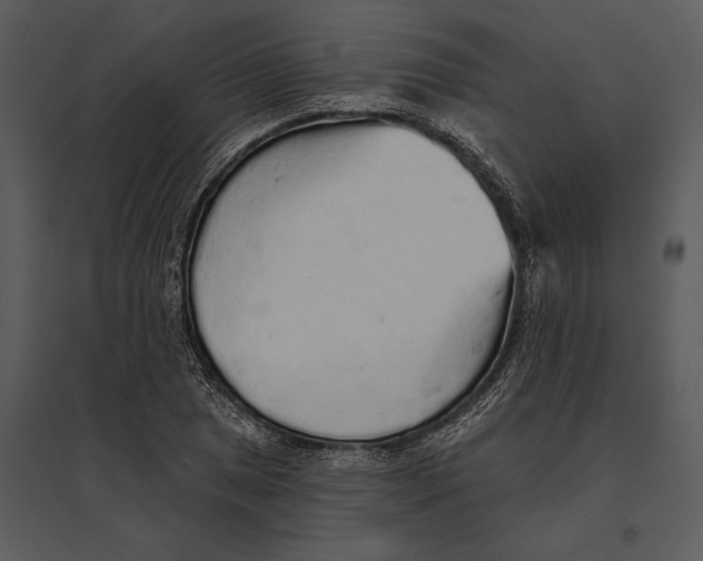 X0000095511025200801041155