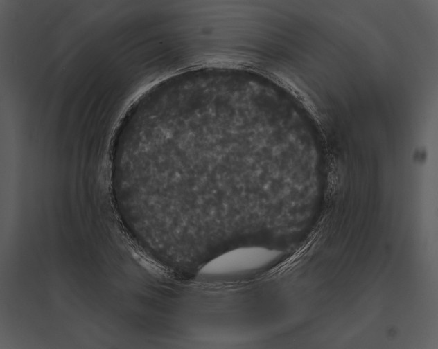 X0000095511027200801041155