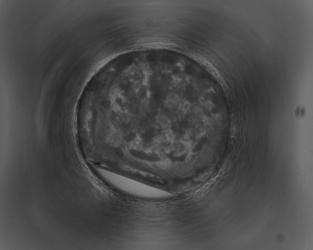 X0000095511031200801041155