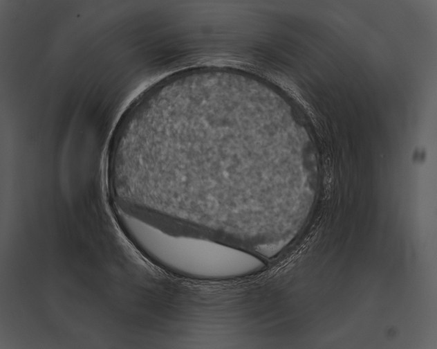 X0000095511032200801041155