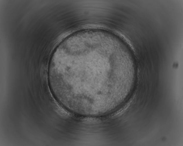 X0000095511033200801041155