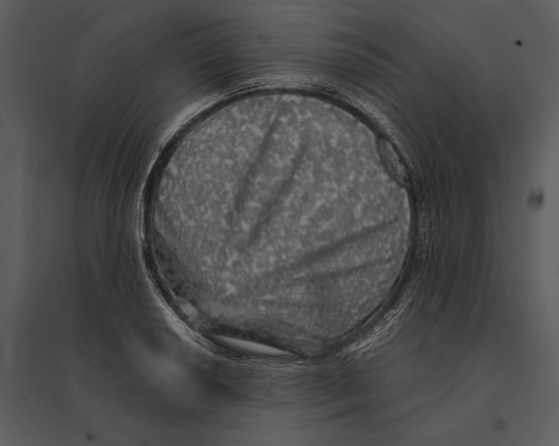 X0000095511034200801041155