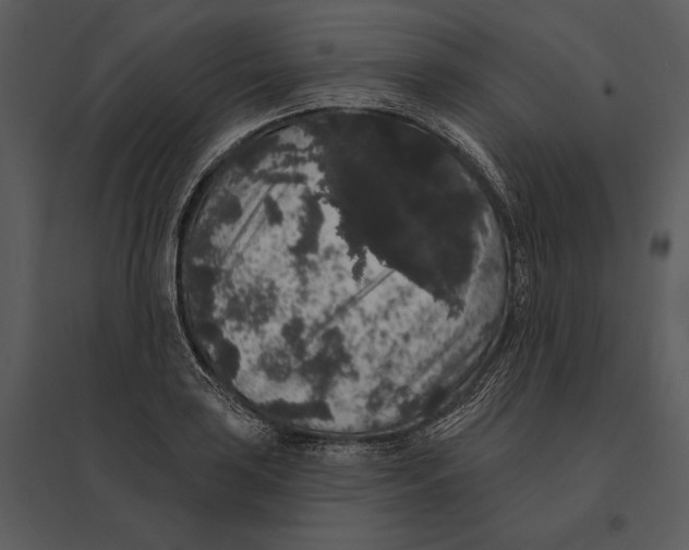 X0000095511035200801041155