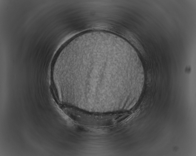 X0000095511036200801041155