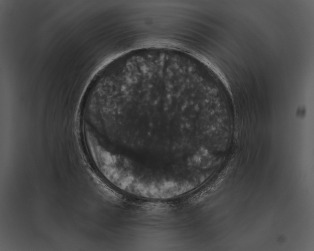 X0000095511037200801041155