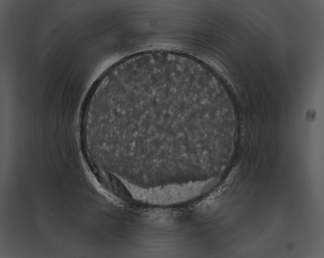 X0000095511038200801041155