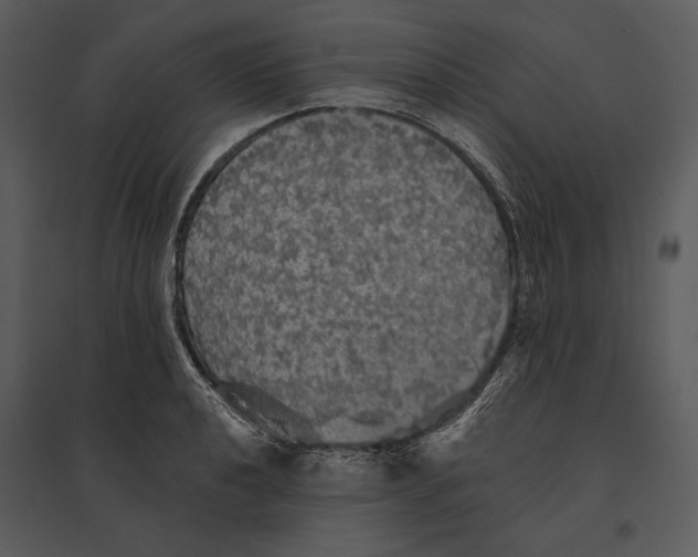X0000095511040200801041155