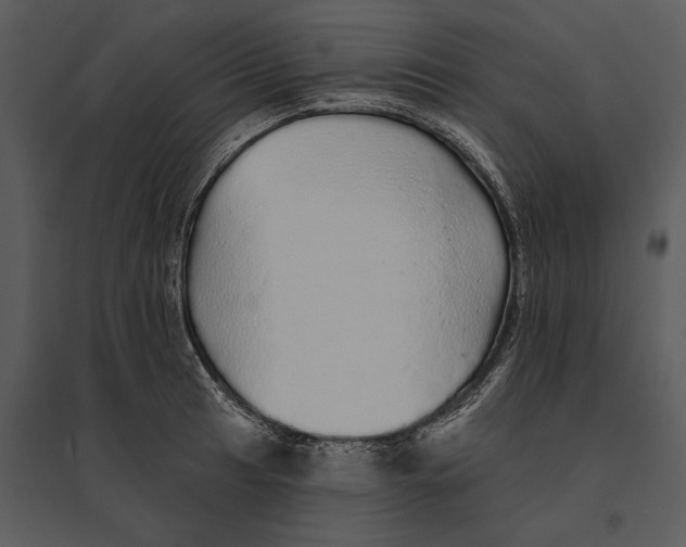 X0000095511041200801041155